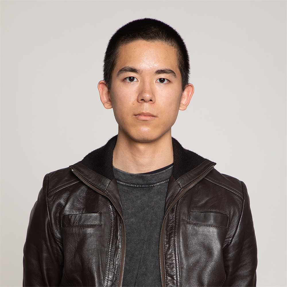 a male portrait